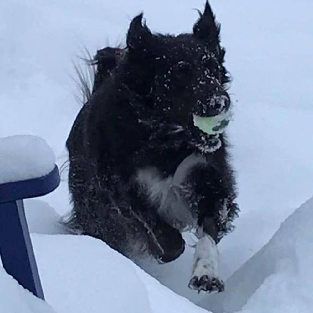 Meet your Posher, Marie